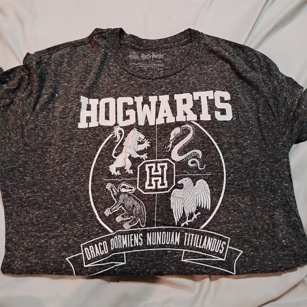 Harry Potter Hogwarts Gray T-Shirt